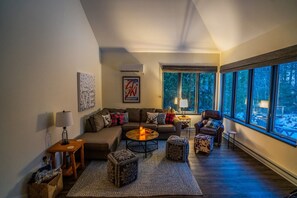 Smart TV, fireplace, books