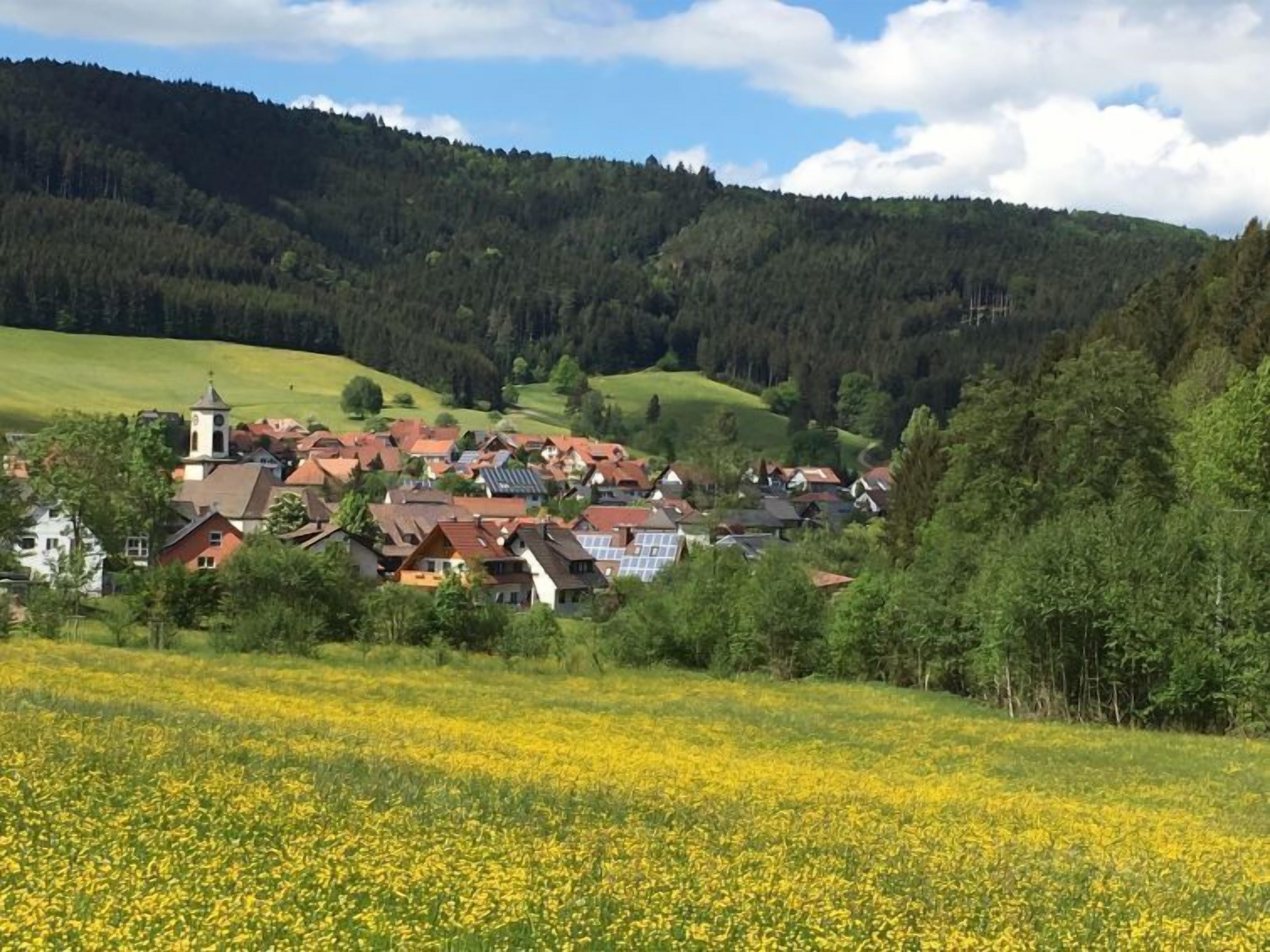 A rural village with traditional houses, a church, and a field of yellow flowers.
