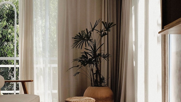 Una habitació amb un llit, una finestra gran amb cortines lleugeres, una planta en test i un otoman trenat.