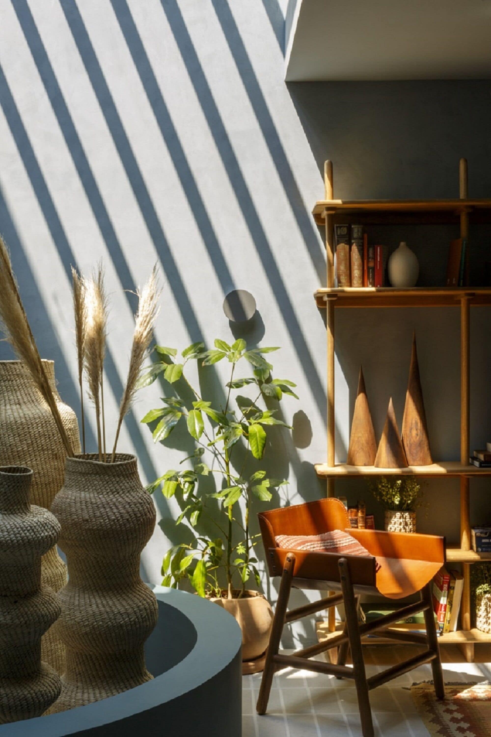 A room with a curved blue wall, a wooden chair, a bookshelf, and a potted plant.