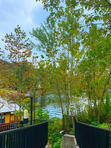 Serene Lakefront Getaway-“The Minty River Retreat”