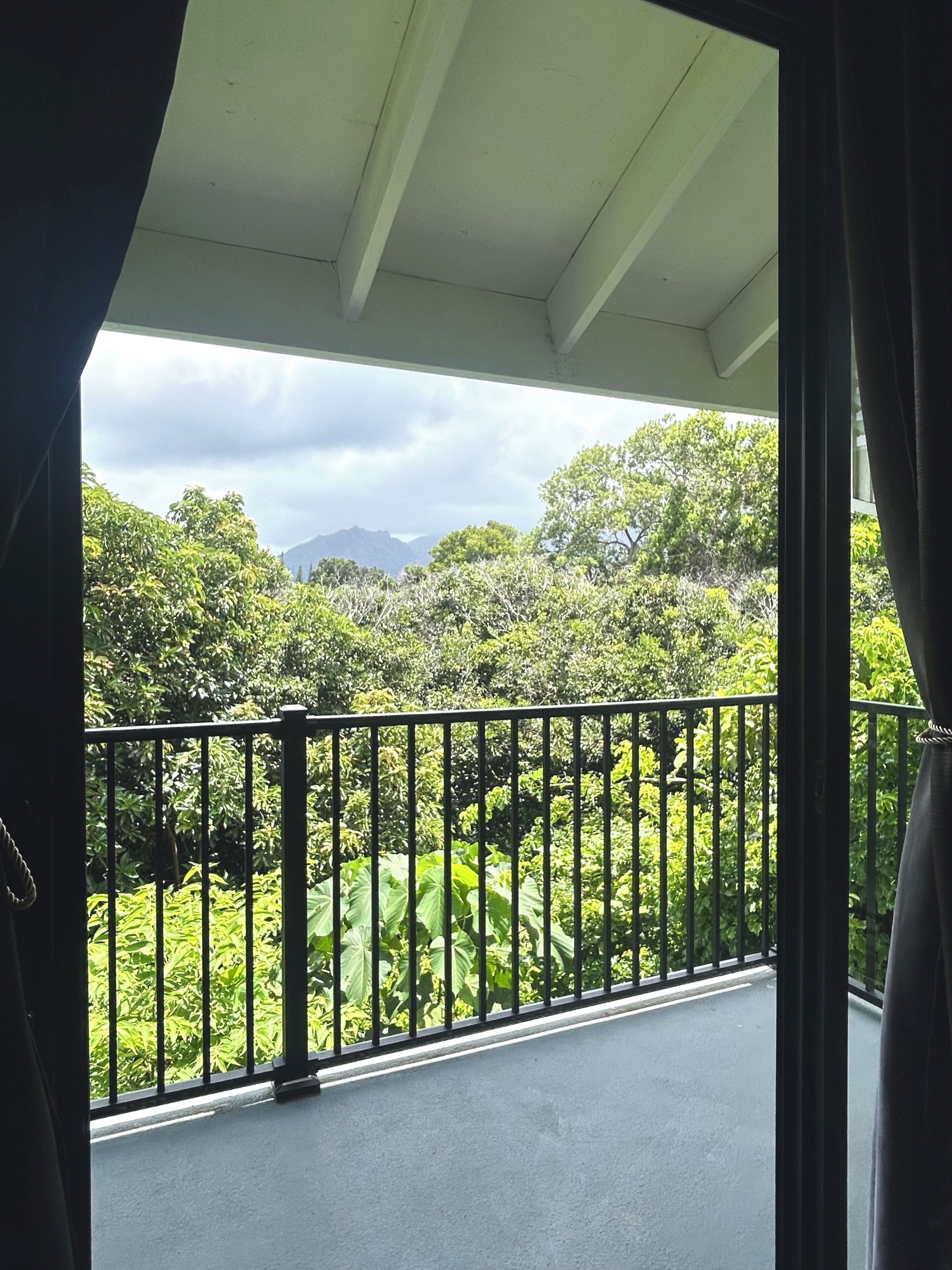 Un balcón con vistas a vegetación exuberante y montañas a lo lejos.
