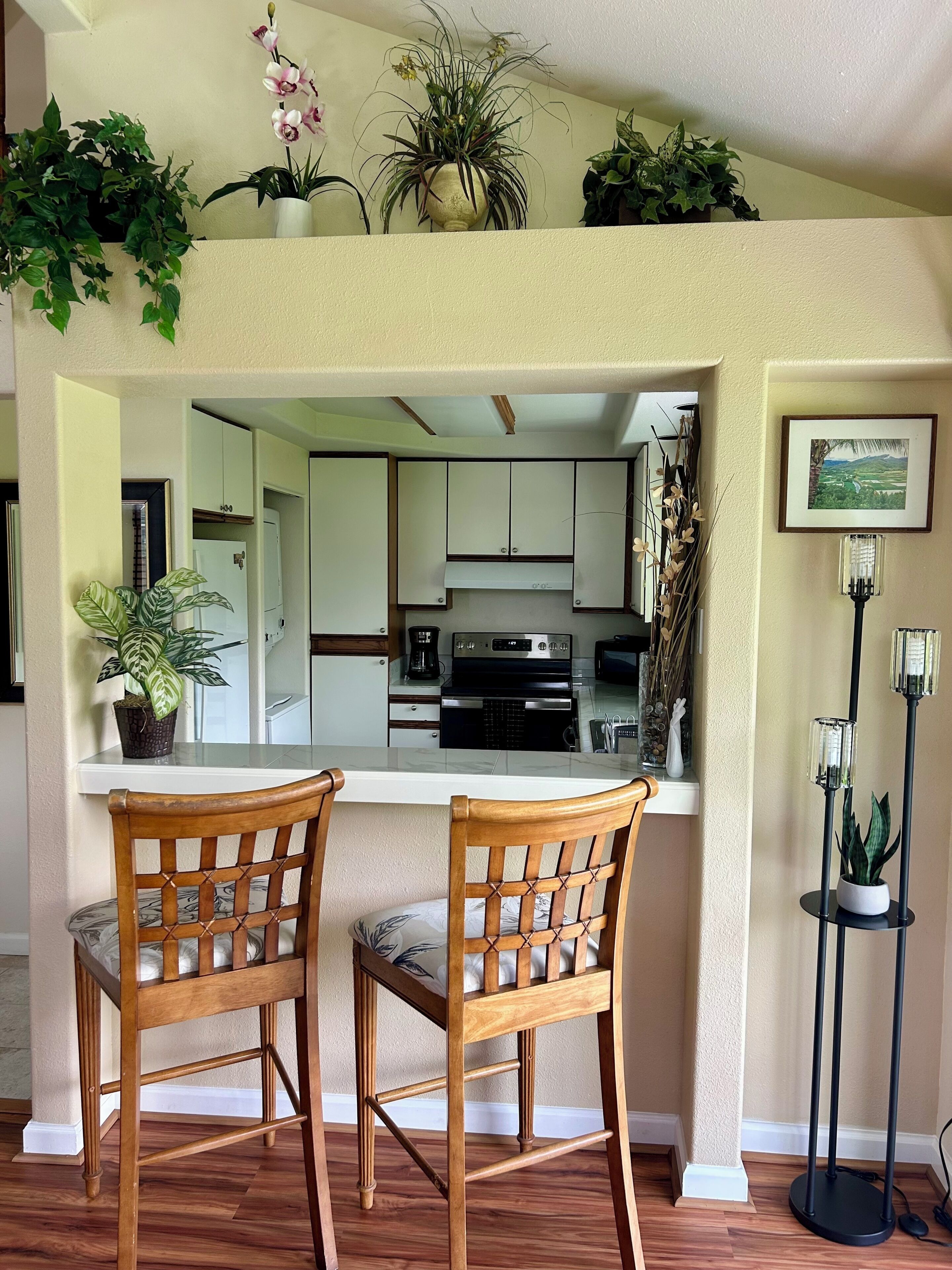 A dining area with two wooden chairs, a kitchen in the background, and potted plants on the walls.