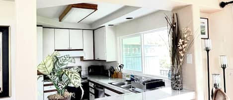 A kitchen with white cabinets, a countertop, and a dining area with a chair. There are plants on shelves above the counter.