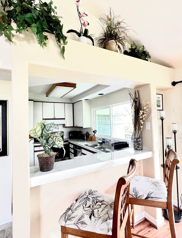 A kitchen with white cabinets, a countertop, and a dining area with a chair. There are plants on shelves above the counter.