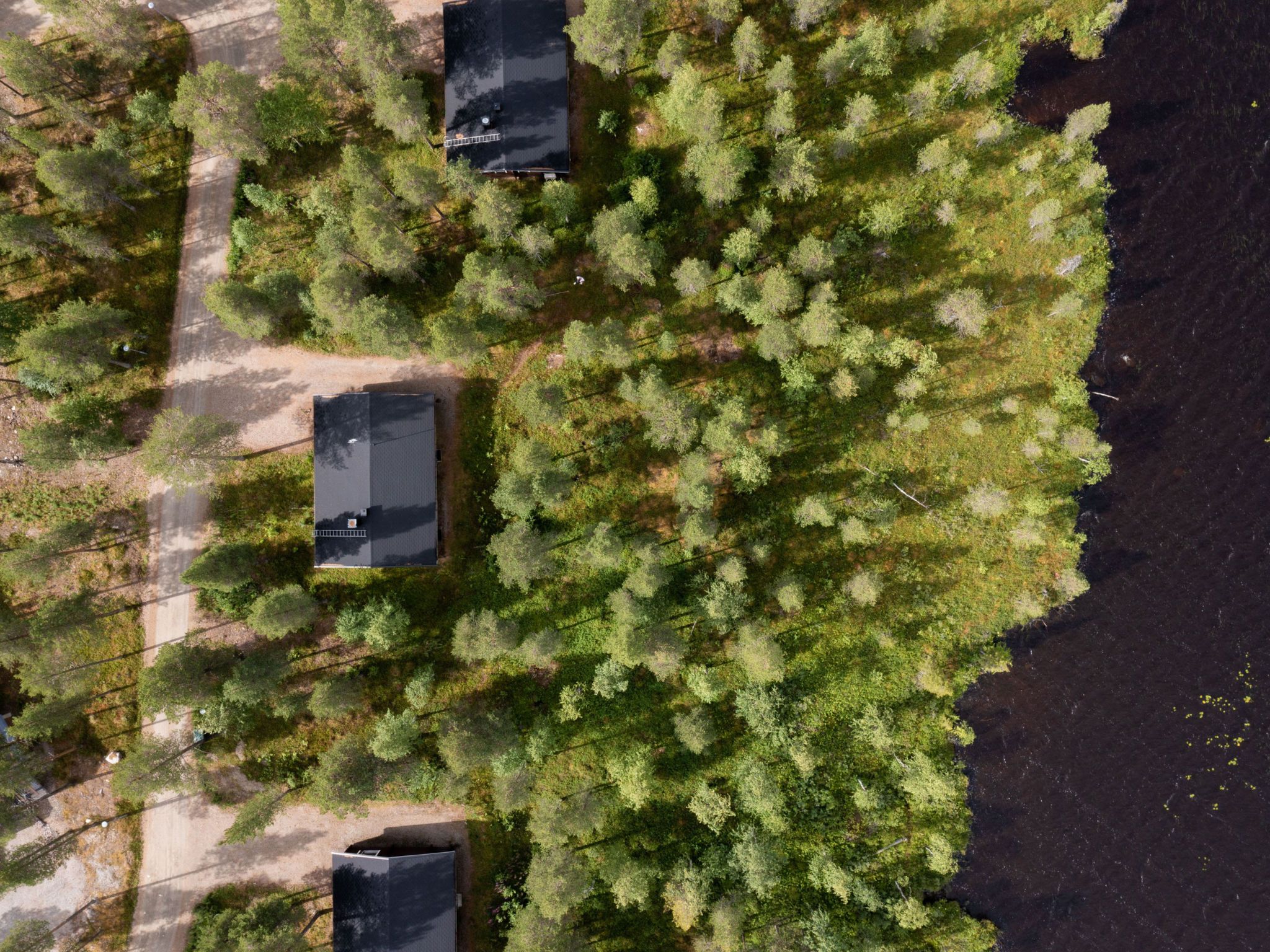 A remote cabin with a small deck and a dirt path leading to it, surrounded by dense forest.