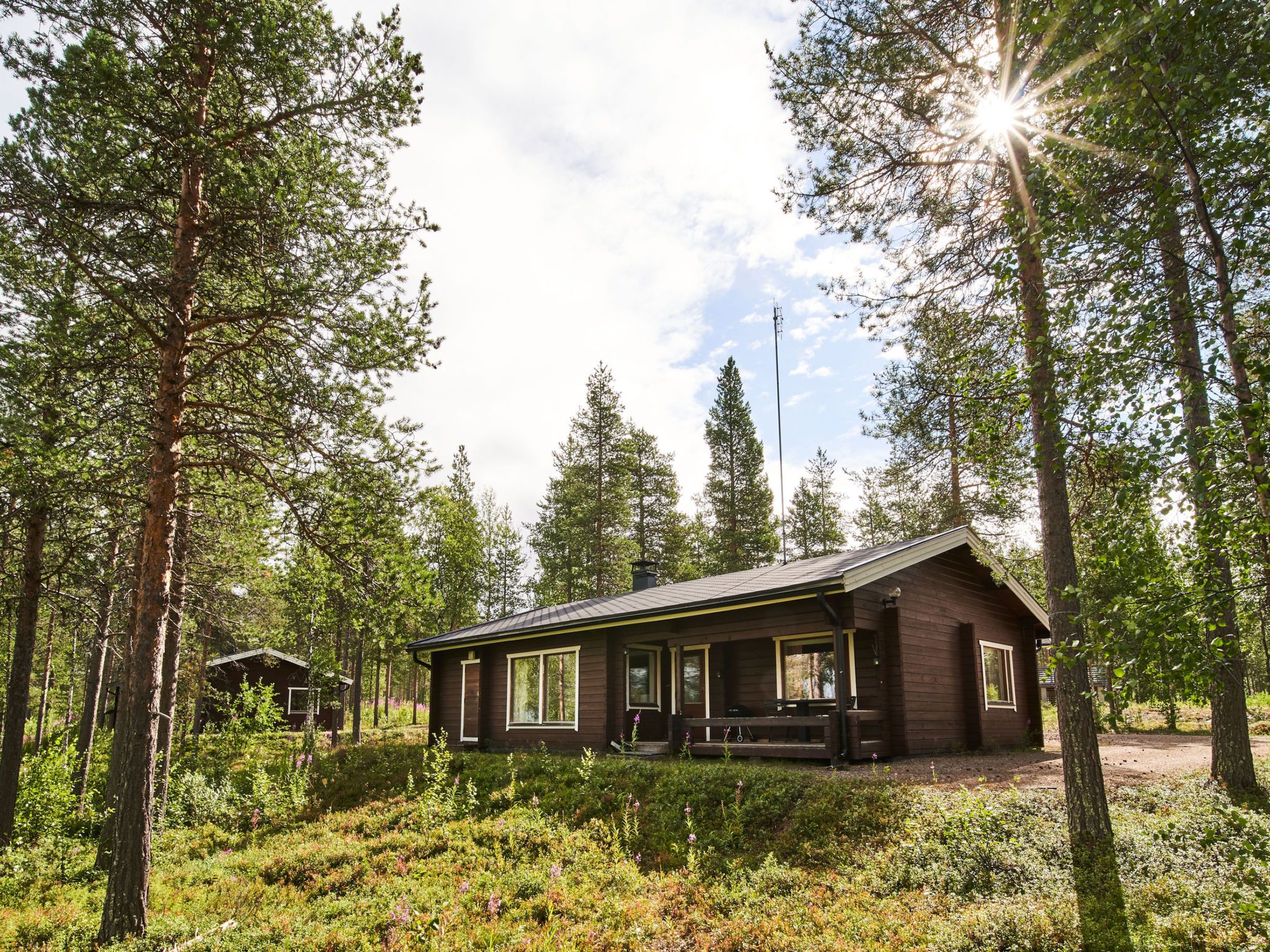 A cabin with a porch, surrounded by dense forest and tall trees.