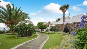 A landscaped garden with a paved walkway, palm trees, and a variety of plants. - Holiday Home "Casa Adayeim 2" with Mountain and Sea Views (ICOD DE LOS VINOS)