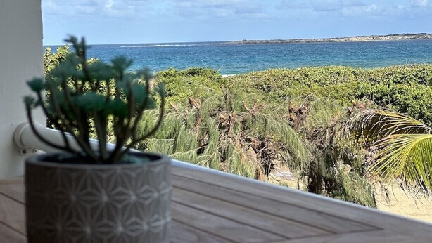 A potted plant on a wooden surface with a view of the ocean and coastal vegetation. - Caribbean Escape - View Orient Bay and St Barth, pool and beach - 4217 (Orient Bay)
