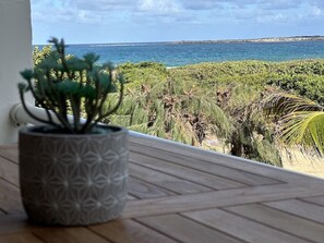 A potted plant on a wooden surface with a view of the ocean and coastal vegetation.
