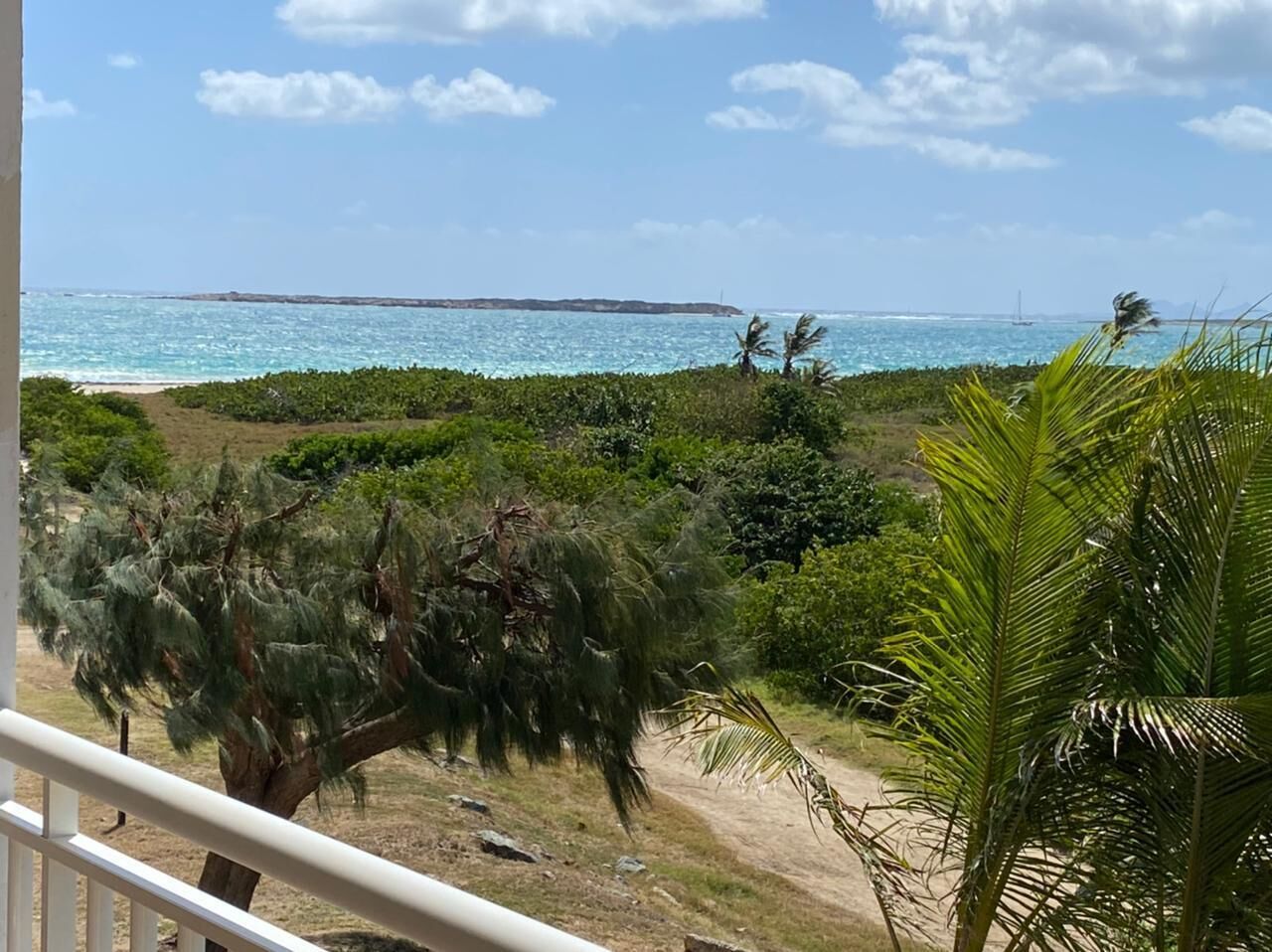 A coastal view with a sandy beach, dense greenery, and a clear blue sky.