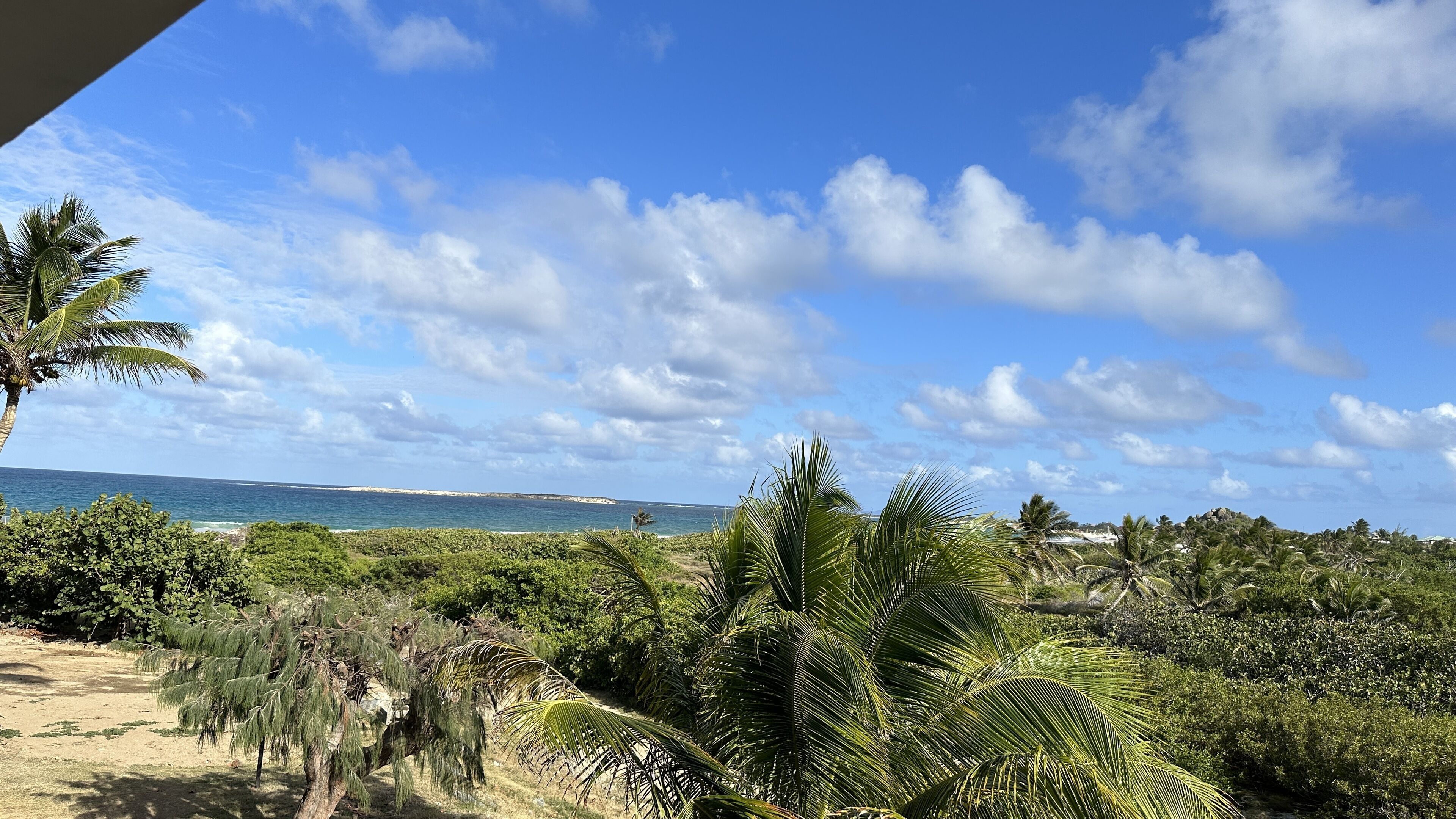 Un paysage côtier caractérisé par une végétation luxuriante, des palmiers et une vue sur l’océan.