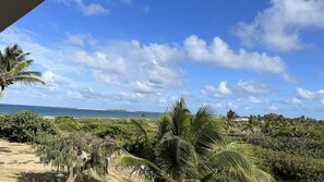 A coastal landscape with dense vegetation, palm trees, and a view of the ocean. - Caribbean Escape - View Orient Bay and St Barth, pool and beach - 4217 (Orient Bay)