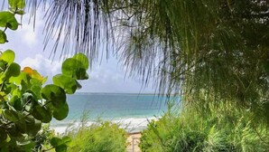 Un sendero de piedra que lleva a una playa, con abundante vegetación a ambos lados.