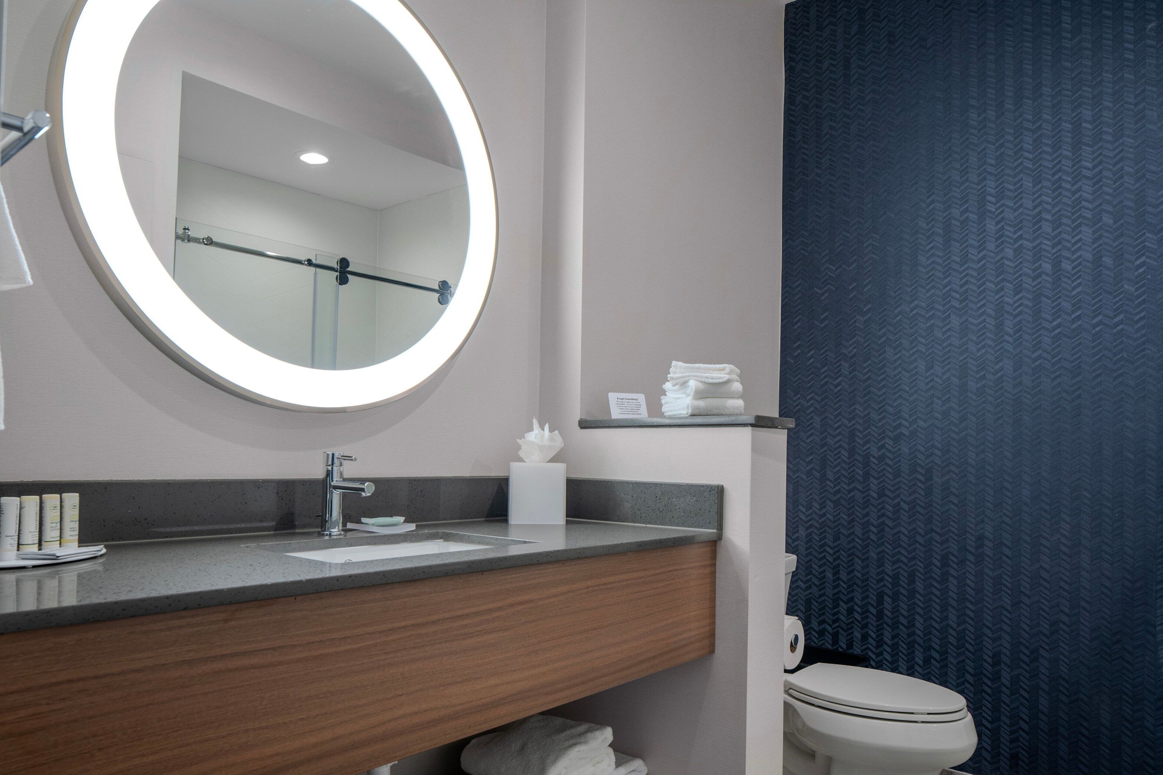 executive suite, 1 king bed with sofa bed | bathroom | free toiletries, hair dryer, towels, soap