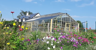 Group gite with indoor swimming pool in the countryside