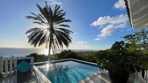 Une piscine avec vue sur l’océan et un palmier.