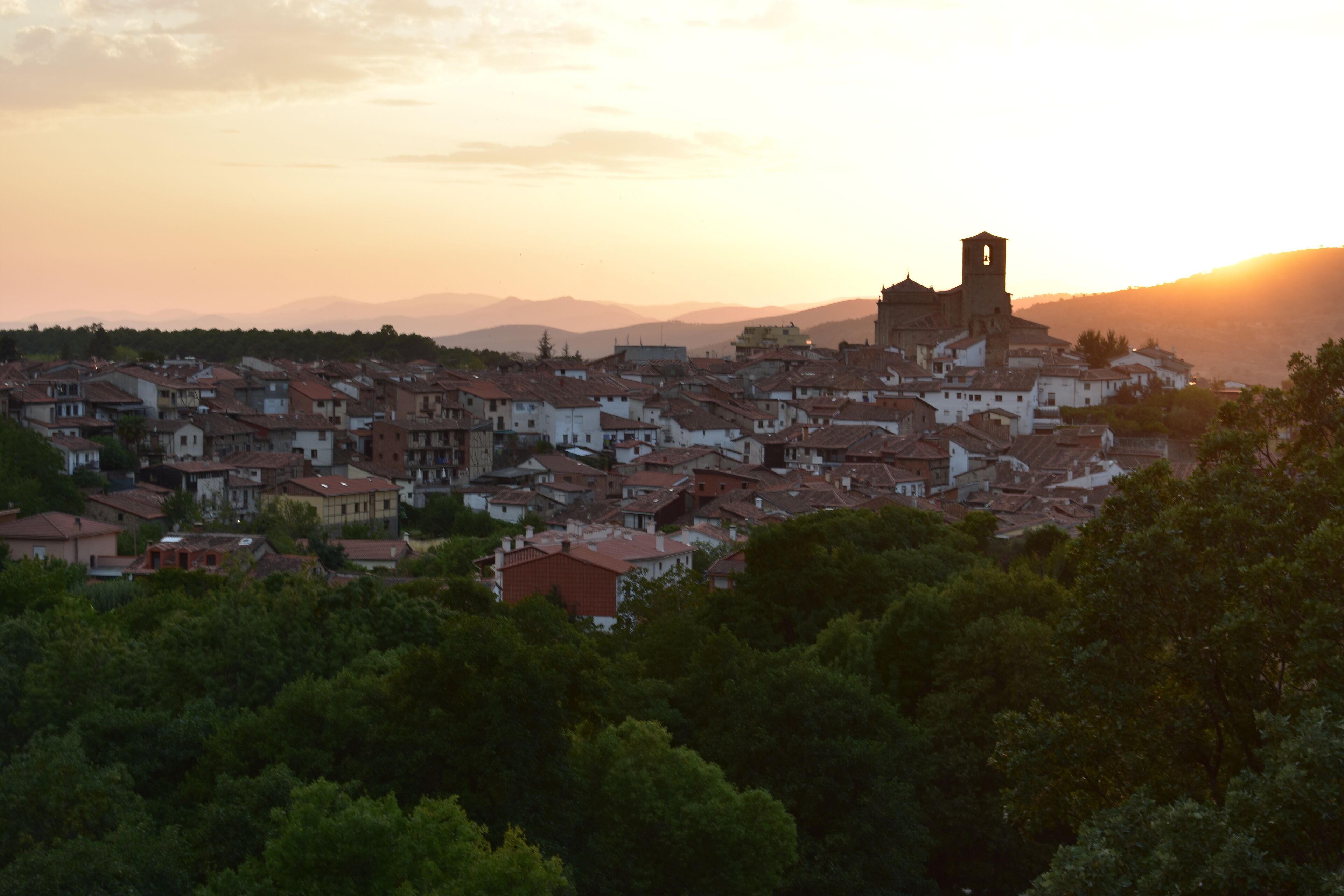 A town with a prominent church tower, surrounded by residential buildings and dense greenery.
