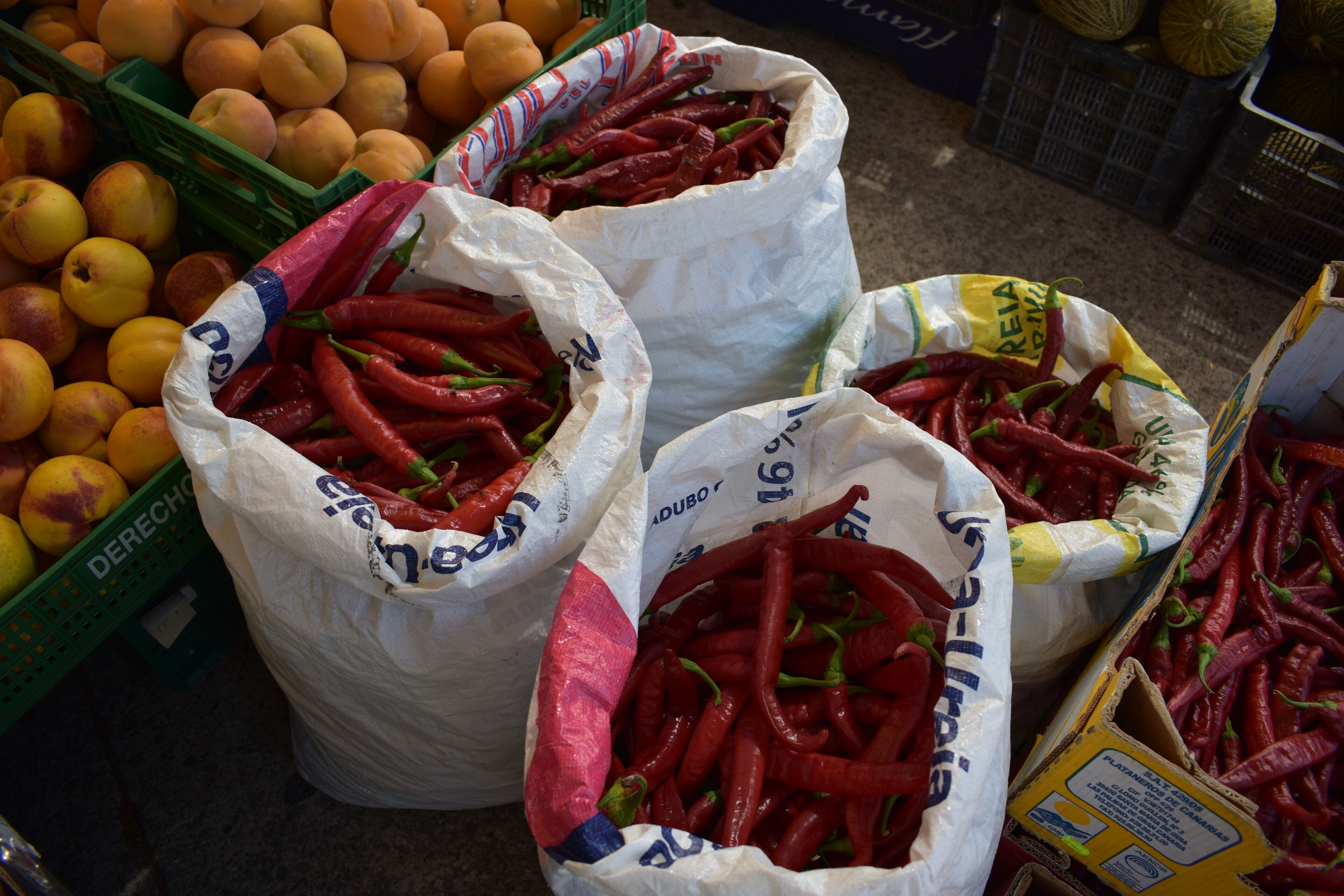 Sacos de chiles rojos y una caja de naranjas.