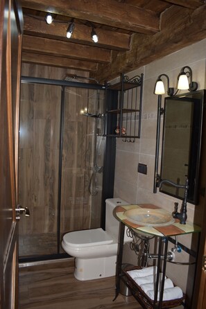 Shower, hair dryer, towels, toilet paper