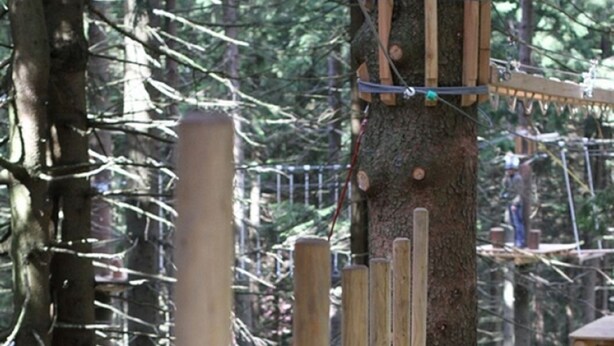 A wooden climbing structure in a forested area.