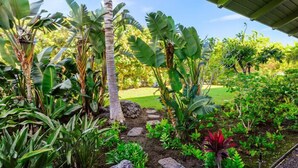 A tropical garden with various plants, including banana trees and a palm tree, under a covered area.