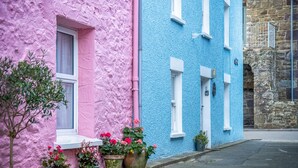 Un bâtiment rose et bleu, doté de fenêtres et orné de plantes en pot.