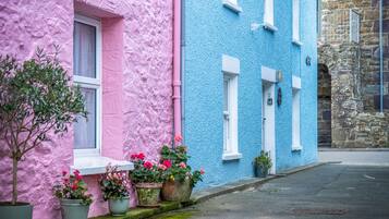 Two adjacent buildings with pastel-colored facades and potted plants line a quiet, pedestrian-friendly street.