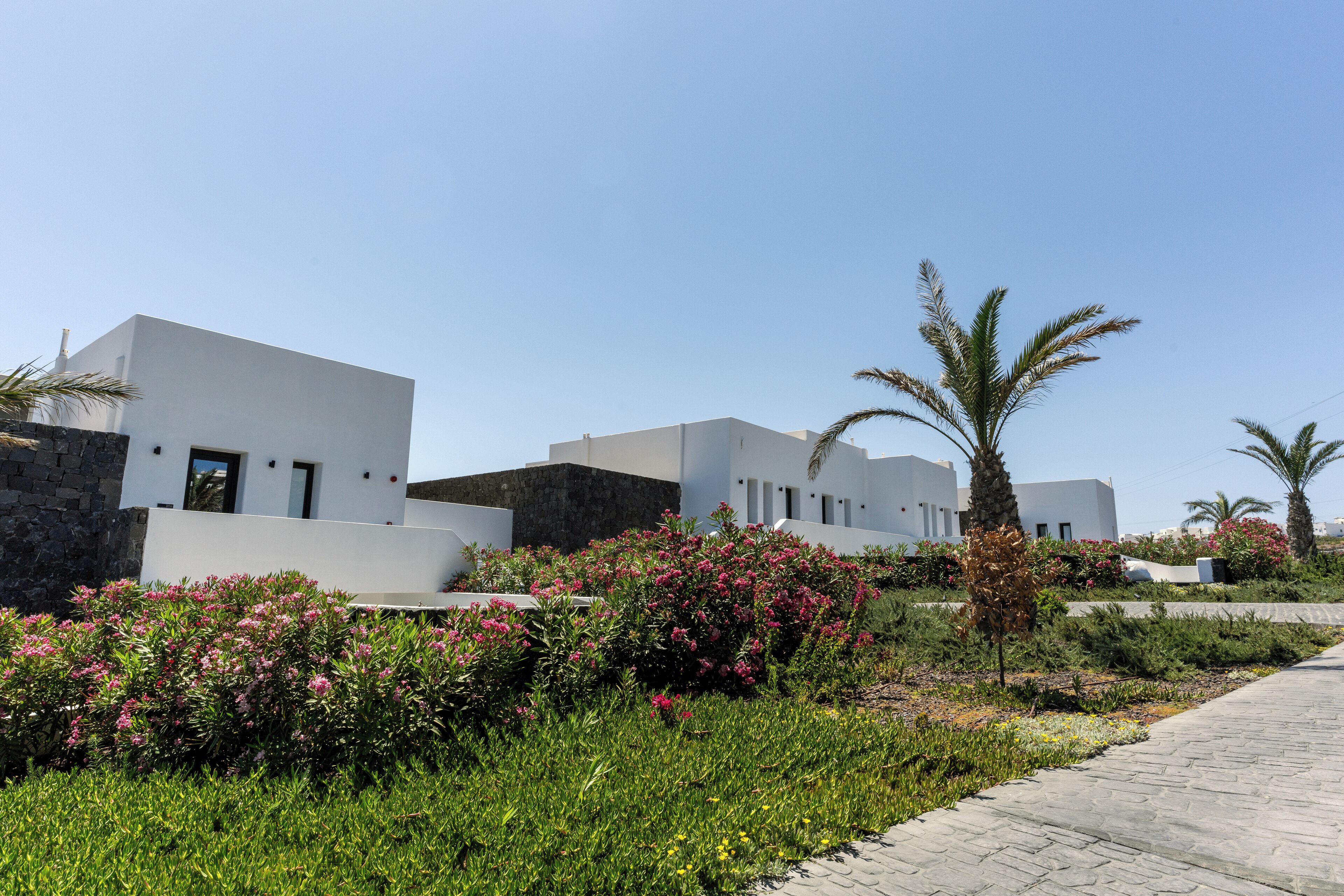 A modern building with white and grey exteriors, surrounded by lush greenery and flowering plants.