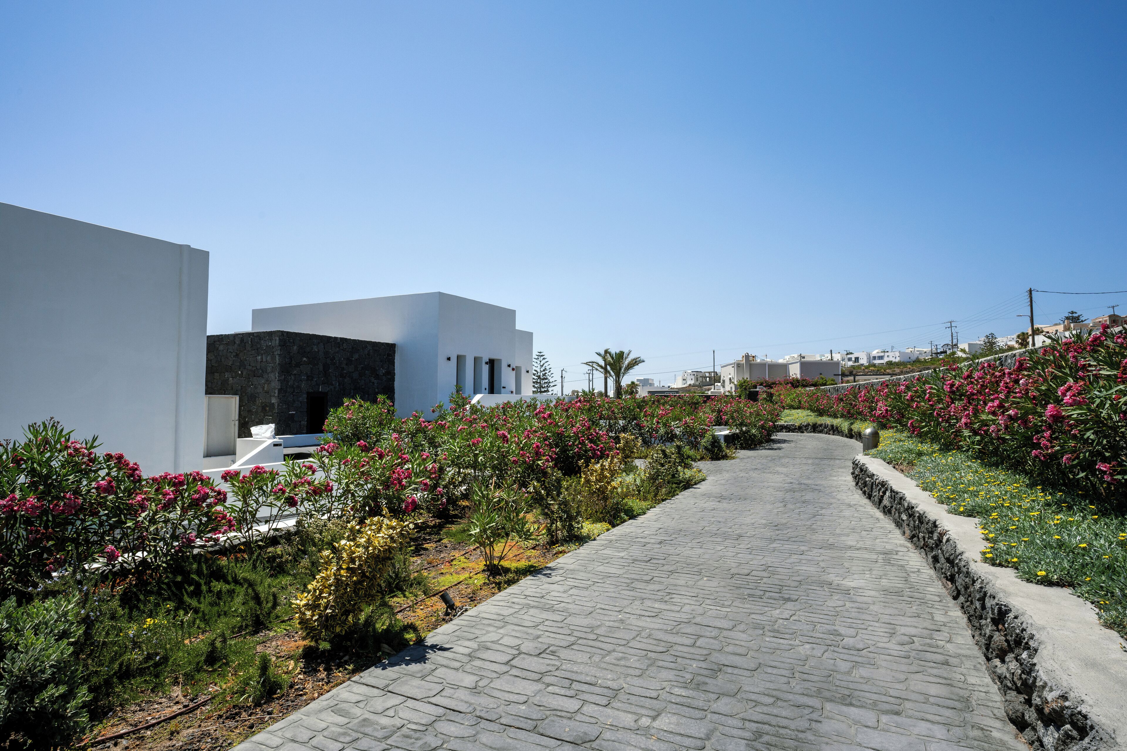Cresanto Luxury Suites Santorini - photo 7