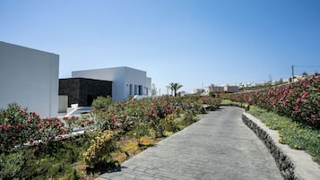 Een geplaveid pad wordt langs beide zijden begrensd door weelderige tuinen met diverse bloeiende planten, met op de achtergrond een modern gebouw met een witte gevel en donkere steen accenten.