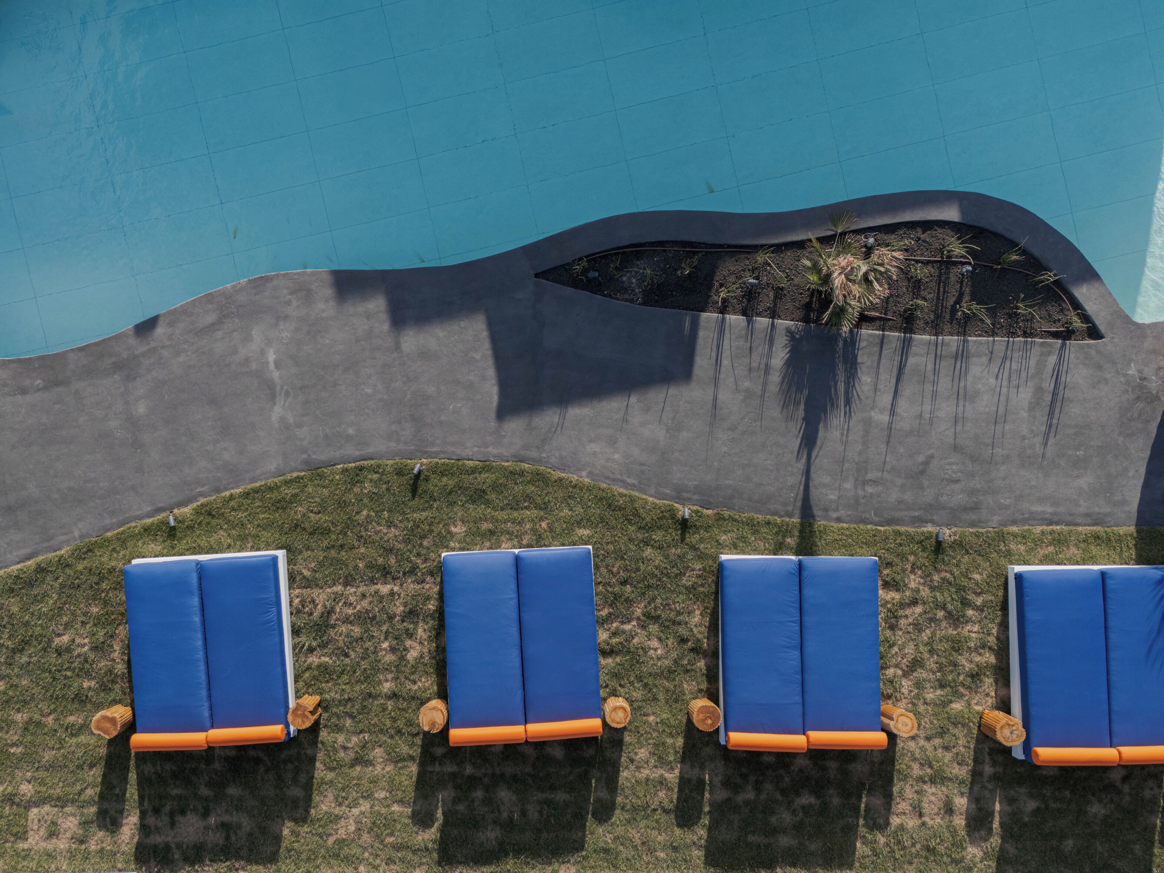 A poolside area with four blue lounge chairs and a small planter with plants.