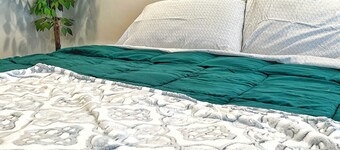 *Top Rated Dog Friendly Home in GVL*  - Welcome to The Mountain Schnauzer!