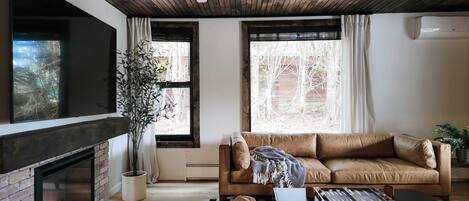 Télévision, cheminée, espaces bureaux