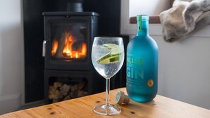 A glass of gin with a lime slice, a bottle of gin, and a wood-burning stove in the background.