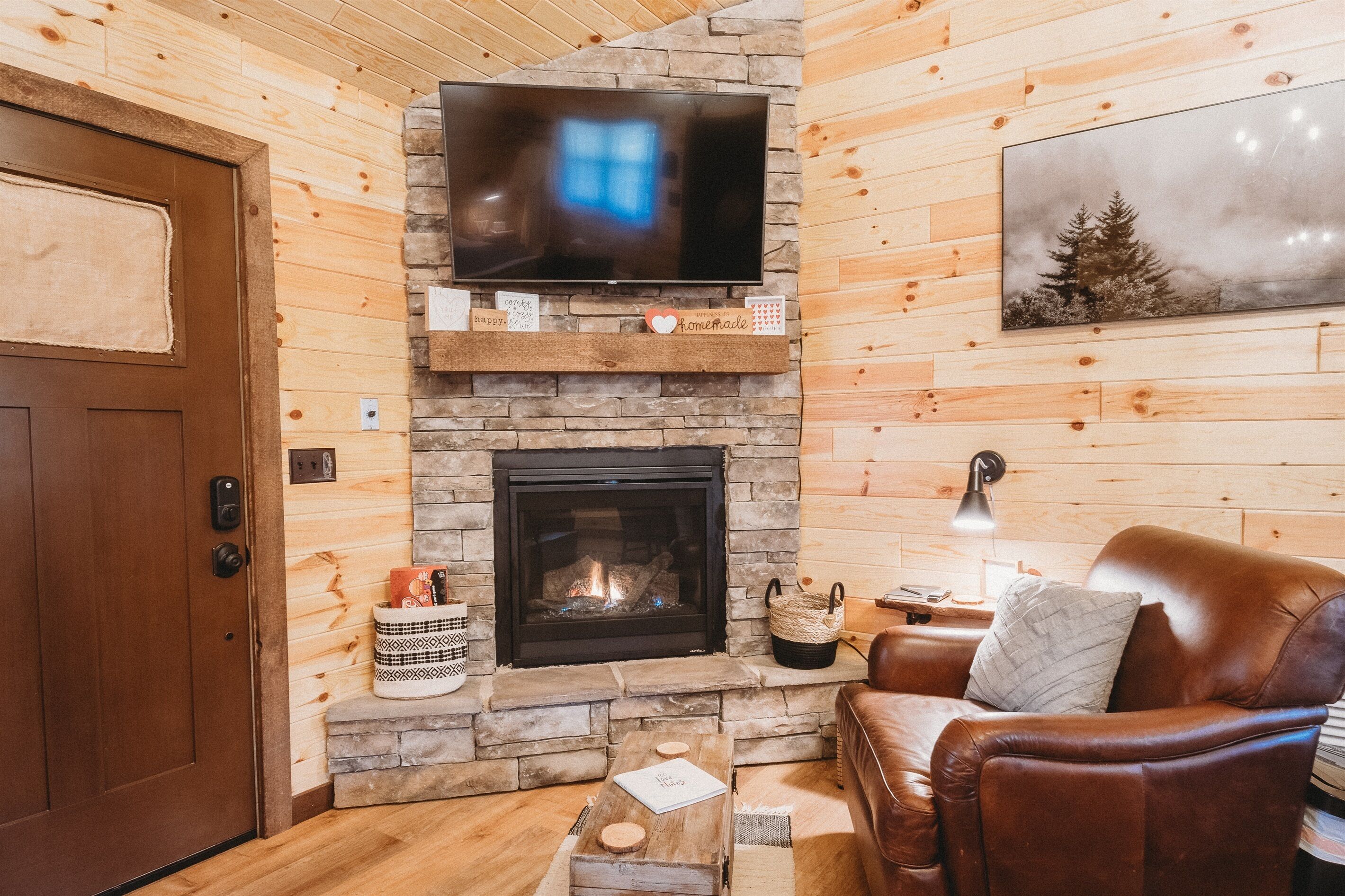 Smart TV, fireplace, books