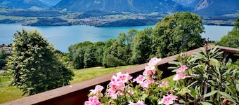 Chalet Xanadu with Alps & Lake View