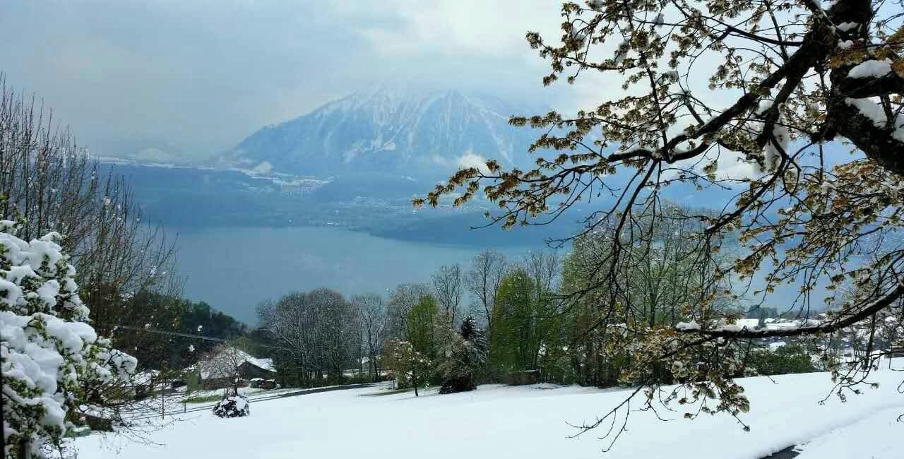 Une vue hivernale sur un paysage enneigé, avec un lac et une montagne en arrière-plan.