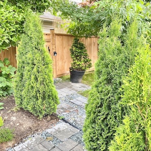 Un vialetto di giardino che conduce a un cancello in legno, circondato da siepi curate e una pianta in vaso.