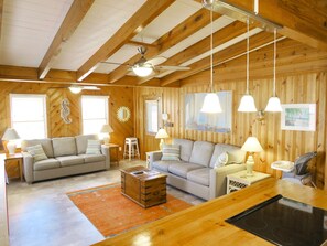 Smart TV, chimenea, reproductor de DVD y libros 