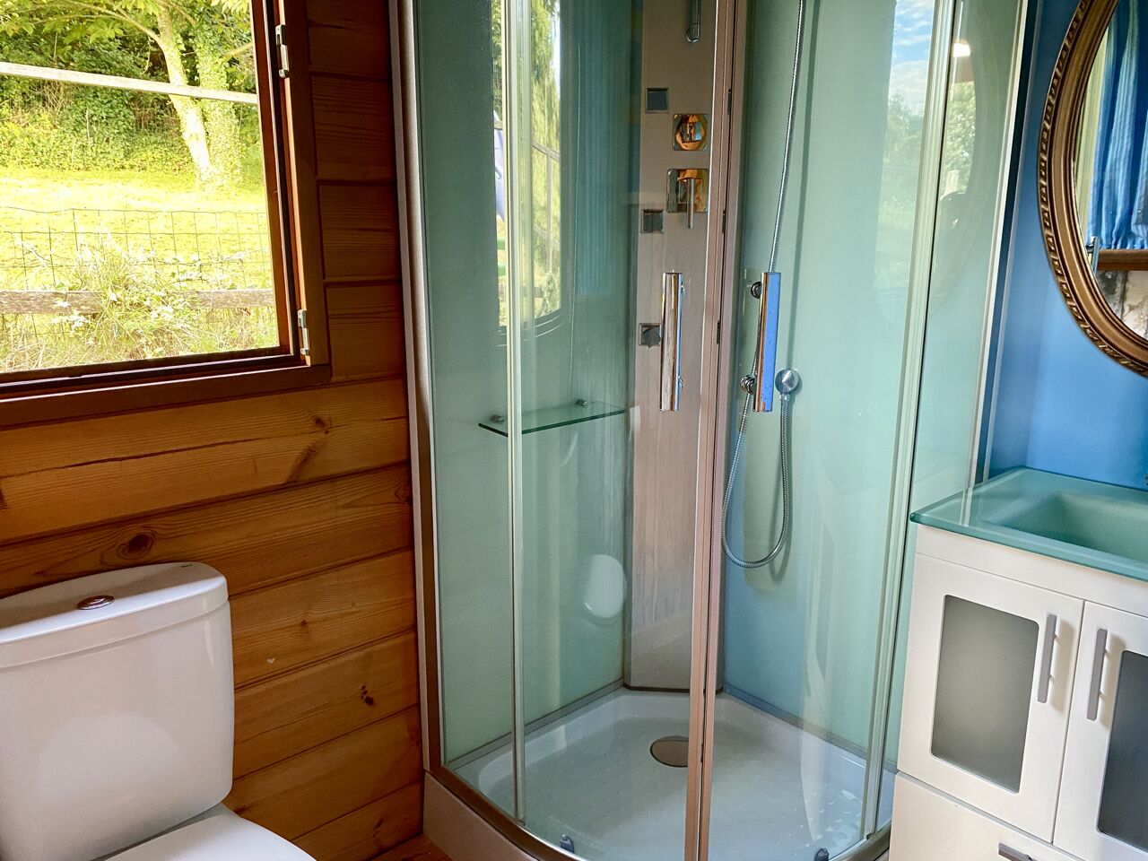 A glass-enclosed shower with a handheld showerhead, a toilet, and a sink with a mirror.