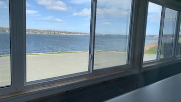 Utsikt från rummet