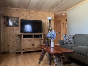 Fernseher