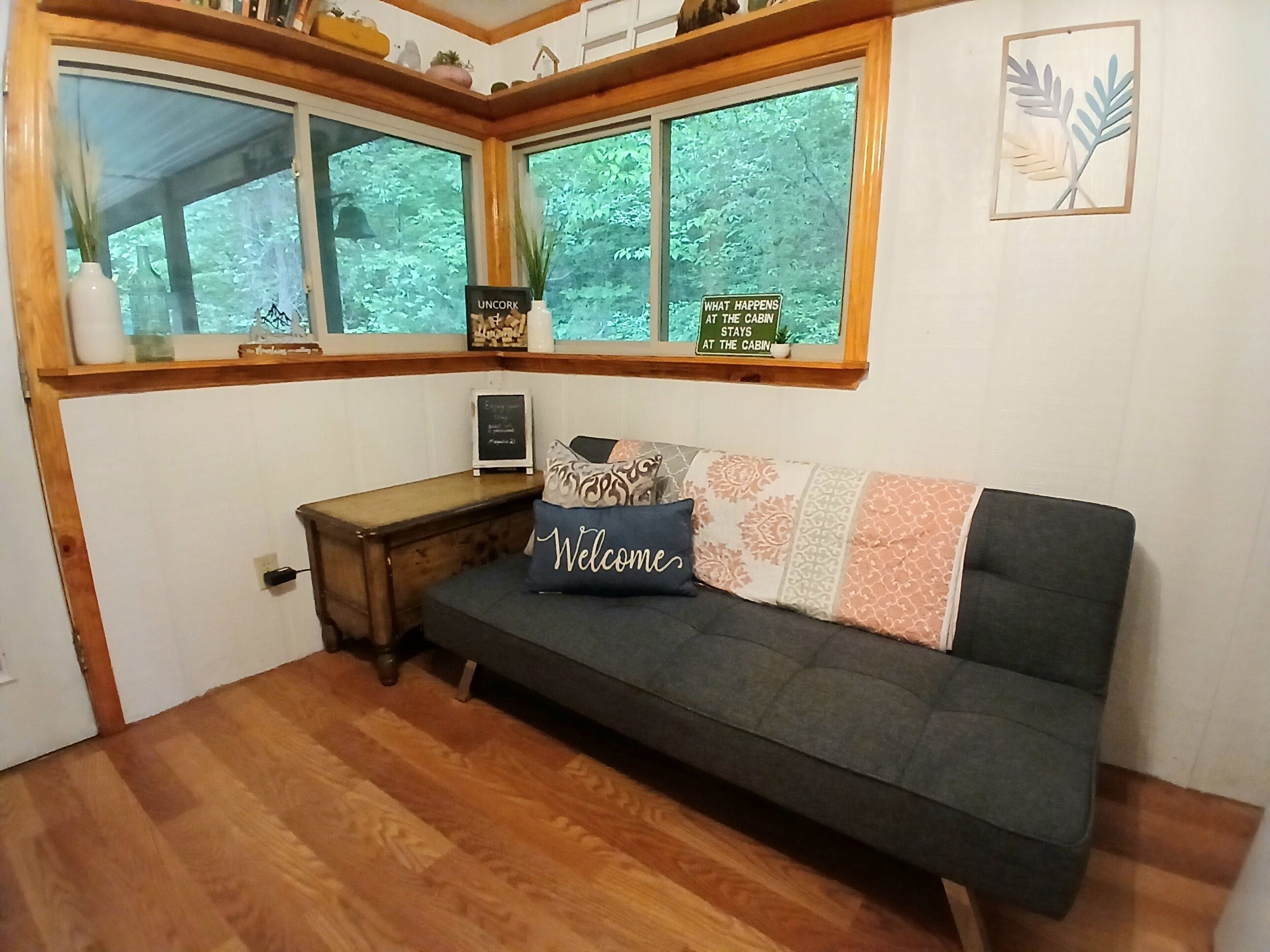 Smart TV, DVD player, books, stereo