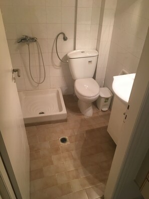 Regadera y papel de baño 