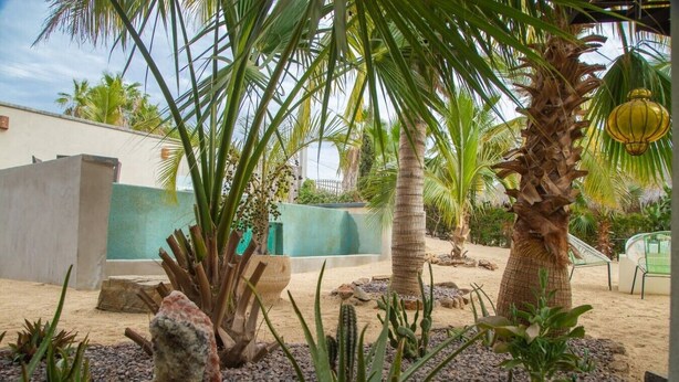 A landscaped outdoor area with palm trees, cacti, and a seating area with chairs.