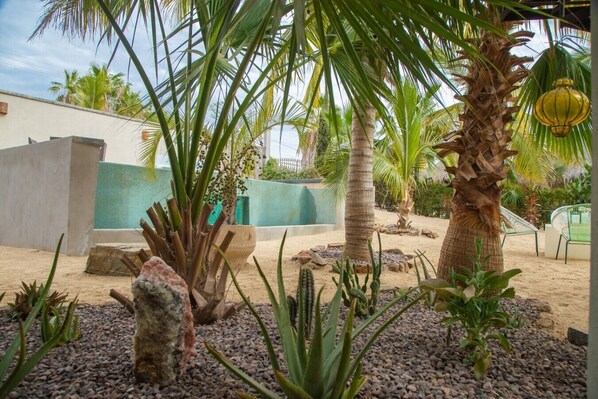 A landscaped outdoor area with palm trees, cacti, and a seating area with chairs.