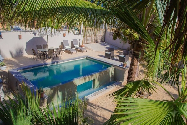 Une piscine entourée de chaises longues et d’une petite table, le tout bordé de palmiers et adossé à un mur blanc.