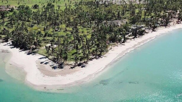Ein Luftbild zeigt einen Strand mit sandigem Ufer und dichter Vegetation.