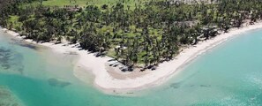 Vista aérea de una playa con orilla arenosa y vegetación densa.